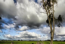 澳大利亚队球员受伤暂停训练：凝聚、康复与重返赛场的故事